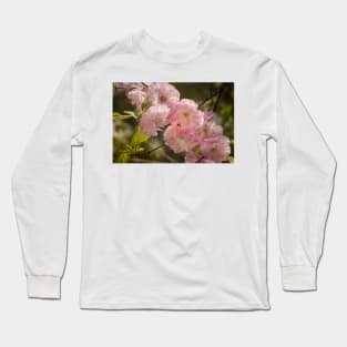 Flowering Almond Long Sleeve T-Shirt